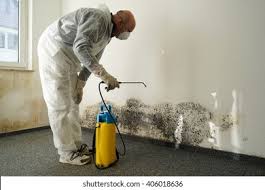 Best Environmental Consulting for Mold Prevention  in Ashley, OH